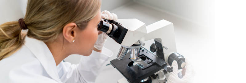 Laboratory Services Laboratory Services